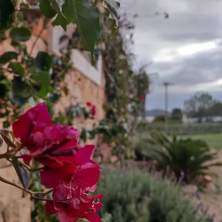 Casa Serena Con Piscina Y Jardin Semesterbostad